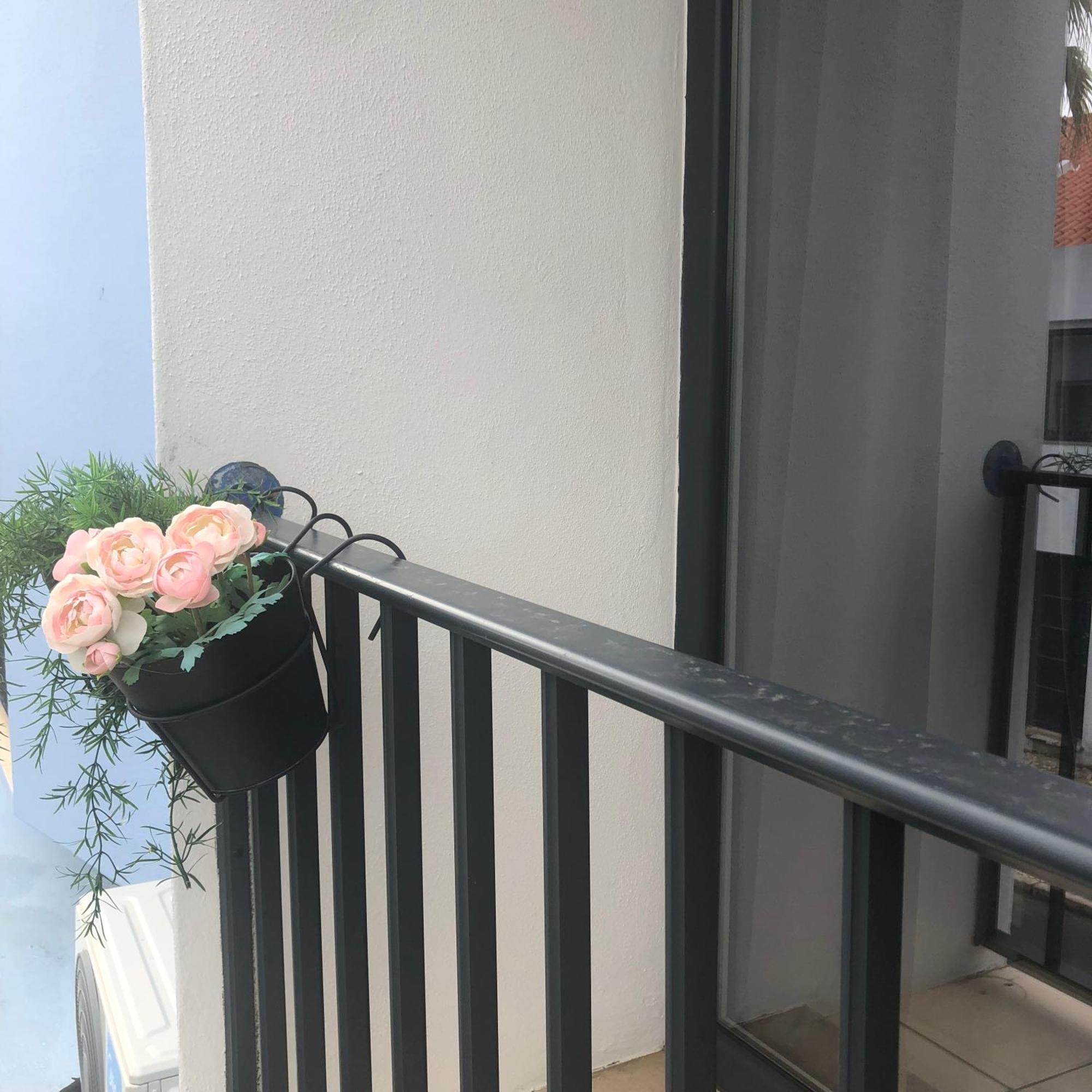 Calmaria Guesthouse Porto Covo Dış mekan fotoğraf