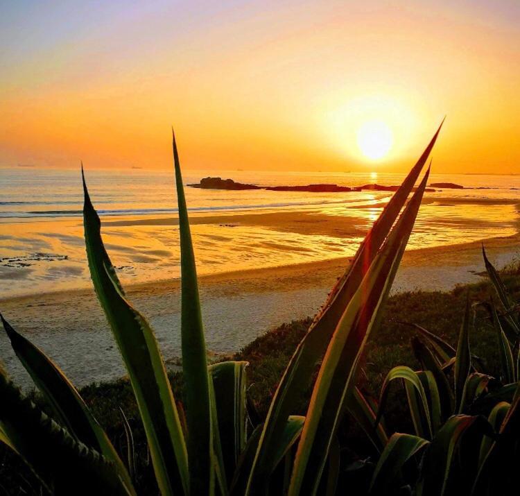 Calmaria Guesthouse Porto Covo Dış mekan fotoğraf